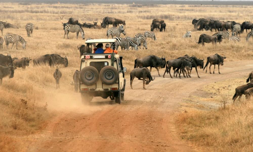 Akagera wildlife landscape